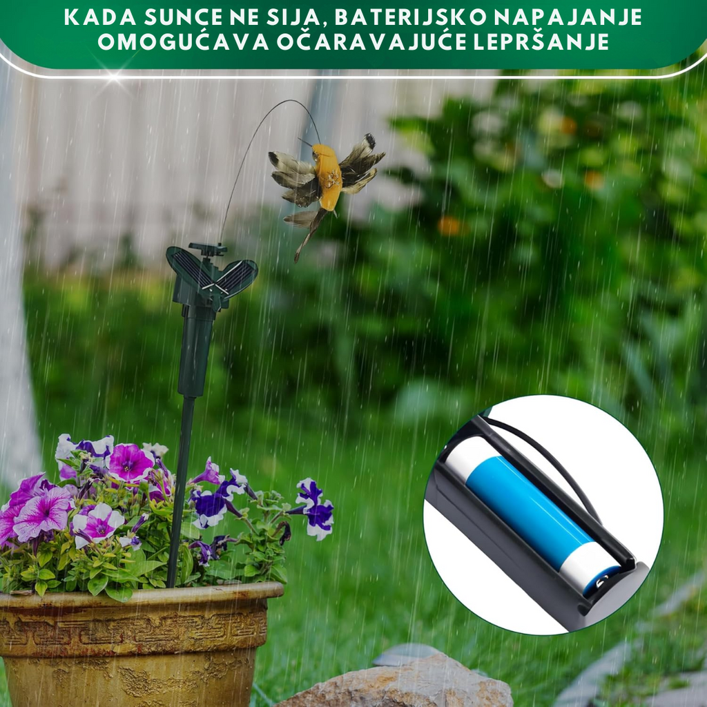 Vrtna Solarna Ptica